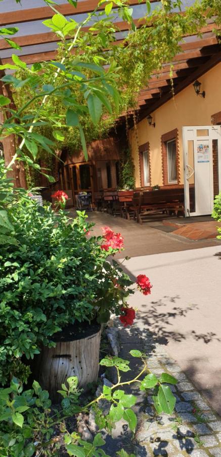 Hotel Siedlisko Pod Debem Wilimy Esterno foto