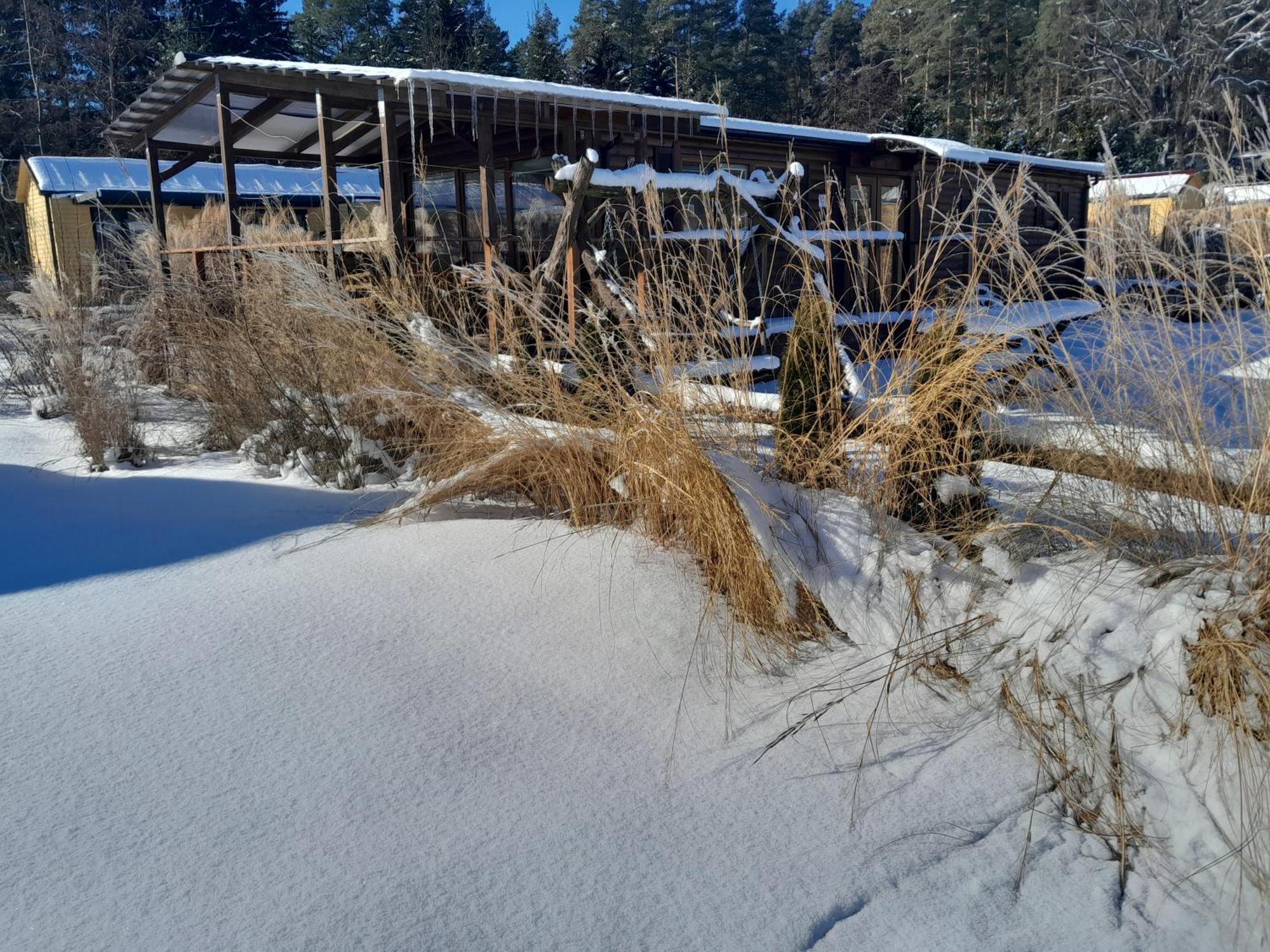 Hotel Siedlisko Pod Debem Wilimy Esterno foto
